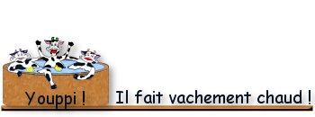 vachementchaud.jpg